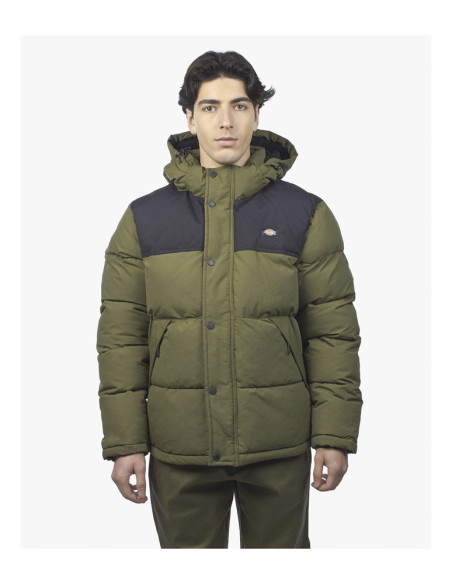 CHAQUETON DICKIES GLACIER VIEW