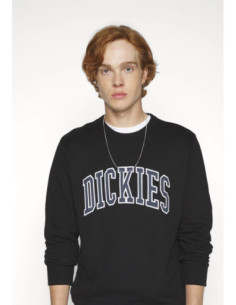 SUDADERA DICKIES AITKIN CREWNECK 2