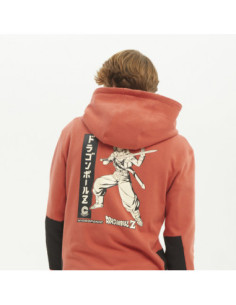 SUDADERA HYDROPONIC DH TRUNKS 2