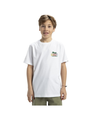 CAMISETA QUIKSILVER EV SUNNY PALMS SS YTH