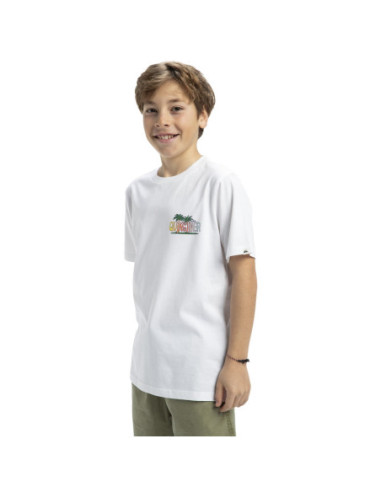 CAMISETA QUIKSILVER EV SUNNY PALMS SS YTH