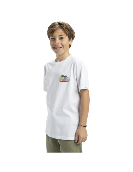 CAMISETA QUIKSILVER EV SUNNY PALMS SS YTH