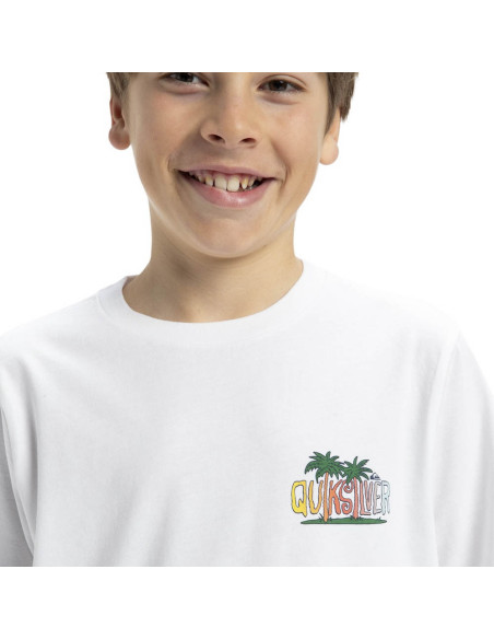 CAMISETA QUIKSILVER EV SUNNY PALMS SS YTH