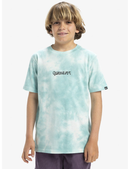 CAMISETA QUIKSILVER FROG RITUAL SS TEE YOUTH