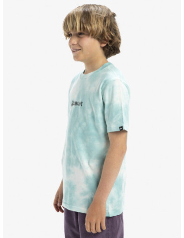 CAMISETA QUIKSILVER FROG RITUAL SS TEE YOUTH