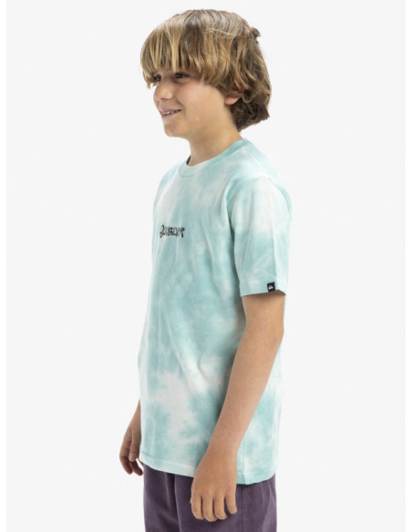 CAMISETA QUIKSILVER FROG RITUAL SS TEE YOUTH