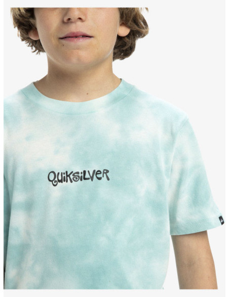 CAMISETA QUIKSILVER FROG RITUAL SS TEE YOUTH