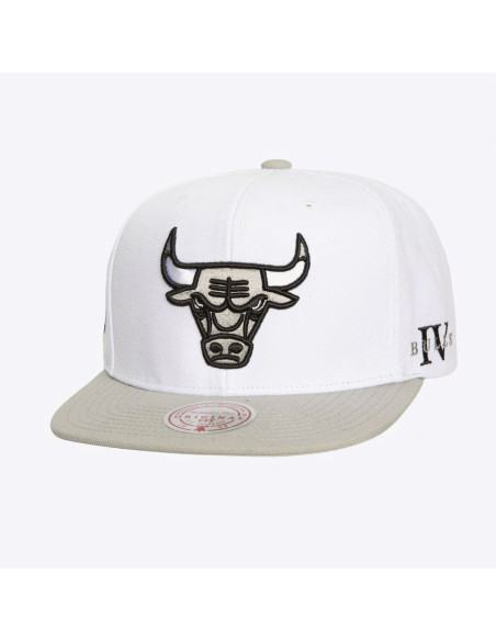 GORRA MITCHELL AND NESS NBA CORE IV SNAPBACK BULLS