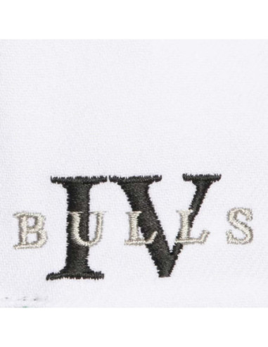 GORRA MITCHELL AND NESS NBA CORE IV SNAPBACK BULLS