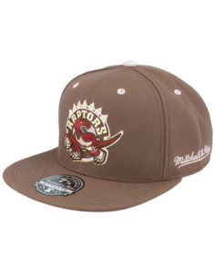GORRA MITCHELL AND NESS TORONTO RAPTORS