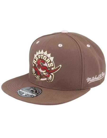 GORRA MITCHELL AND NESS TORONTO RAPTORS