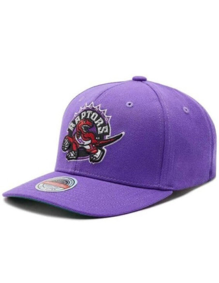 GORRA MITCHELL AND NESS NBA TEAM GROUND 2.0 STRETCH SNAPBACK HWC RAPTORS