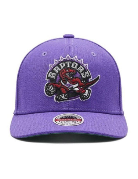 GORRA MITCHELL AND NESS NBA TEAM GROUND 2.0 STRETCH SNAPBACK HWC RAPTORS