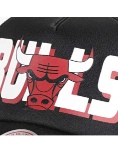 GORRA MITCHELL AND NESS NBA BILLBOARD TRUCKER SNAPBACK BULLS 2