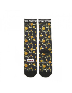 CALCETINES HYDROPONIC DRAGON BALL Z DRAGON BALLS 2