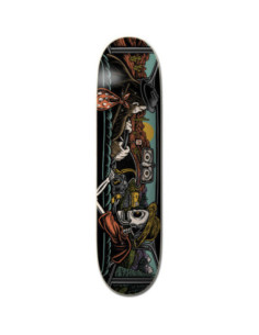 TABLA SKATE ELEMENT TIMBER ENDLESS ROAD REARVIEW AST 2