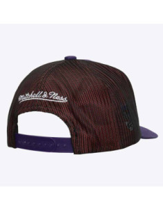 GORRA MITCHELL AND NESS NBA TREMOR TRUCKER HWC RAPTORS 2