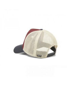 GORRA HYDROPONIC DBZ SUPER SAIYAN CP 2