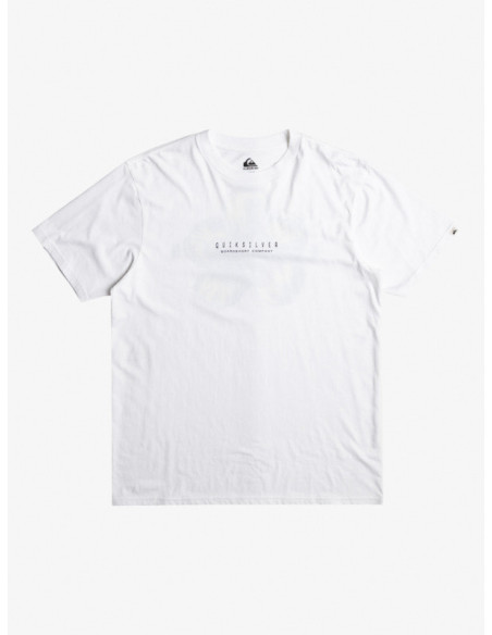 CAMISETA QUIKSILVER HIBISCUS POP SS