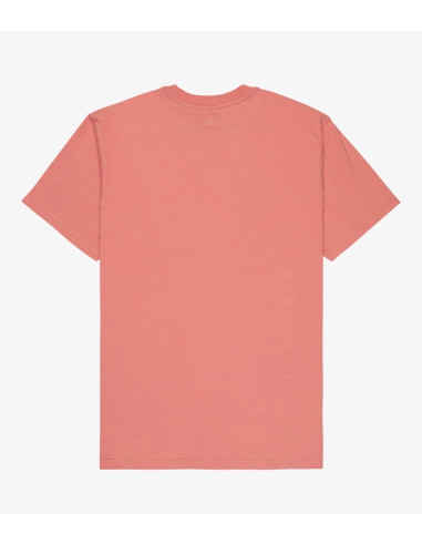 CAMISETA QUICKSILVER EV MINI LOGO SS