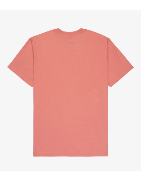 CAMISETA QUICKSILVER EV MINI LOGO SS