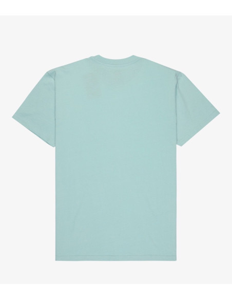 CAMISETA QUICKSILVER EV MINI LOGO SS