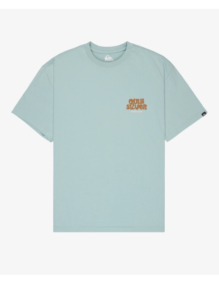 CAMISETA QUICKSILVER FRUITS TIDE SS
